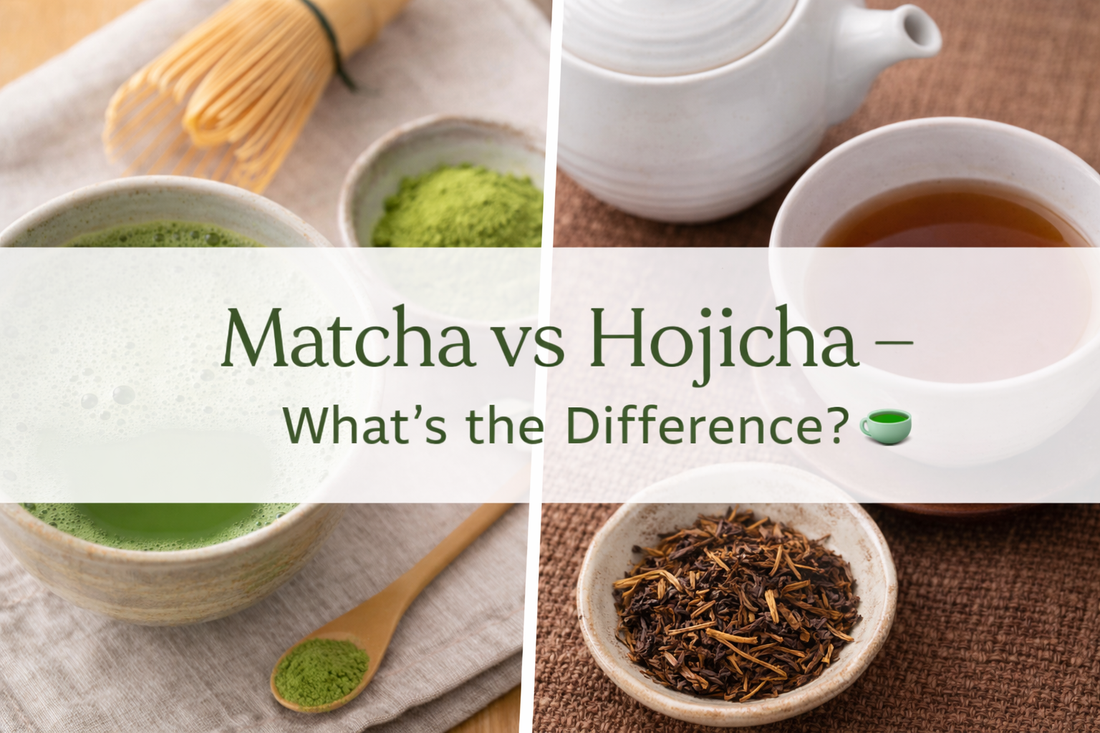Matcha vs Hojicha — What’s the Difference? 🍵