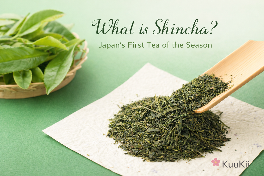 What is Shincha? Japan’s First Tea of the Season 🍵