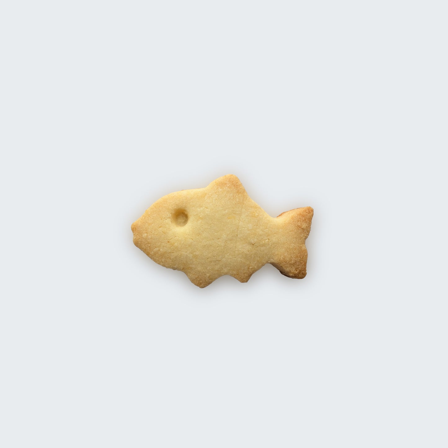🐟 Swimming Fish Cookie Bag
