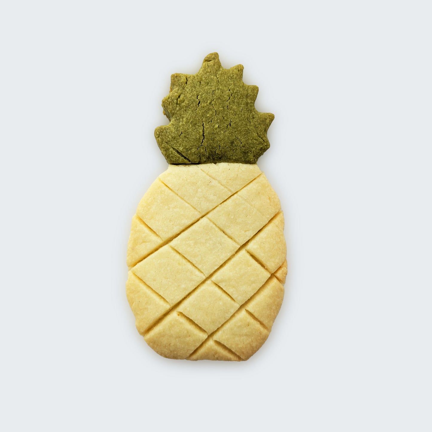 Last Summer Cookie Bag